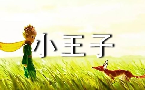 С���Ӷ���