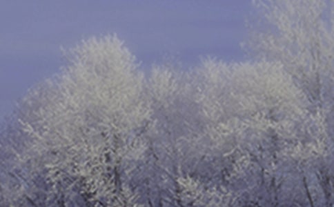 ��ʾСѩ������ʫ��