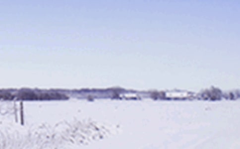 2021����Сѩ�������İ�