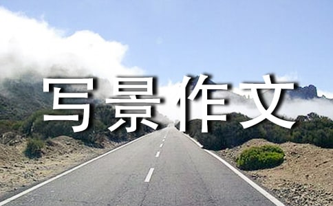 描写风写景作文大全