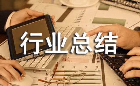 ��ͳ��վ�淶����������㱨-��ҵ�ܽ�