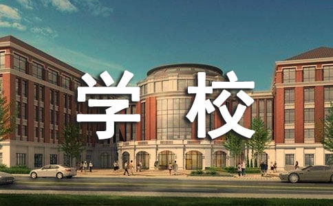 ѧУʦ��ʦ�罨���Բ鱨��