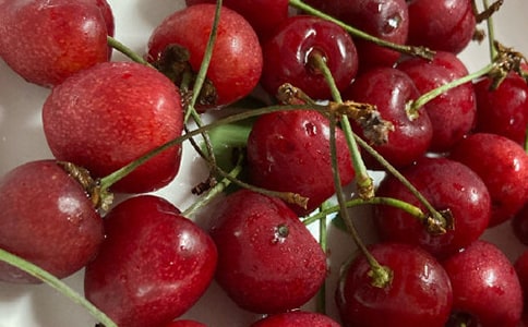 �������졤���ӣ�ҡ�����