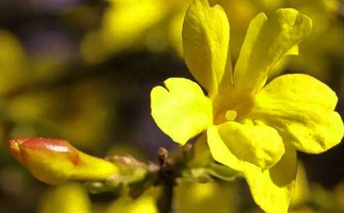[�ر�]ӭ��������15ƪ