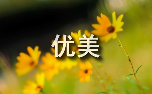 2021�꾫ѡ�������վ��ӻ��50��