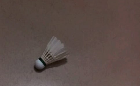 (精)打羽毛球作文