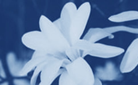 ����������15ƪ��������