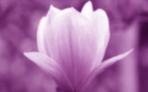 ���������ļ���15ƪ