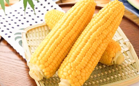 ����������2ƪ[����]