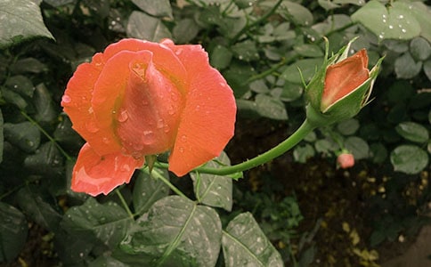 �¼�����ѿ�ռǣ���ѡ27ƪ��