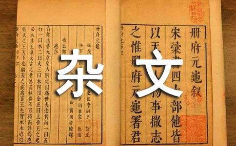 ��������Ũױ��ĨҲ�������������泯������