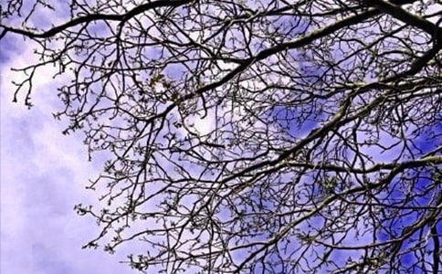 ����Ψ���簲�İ�����ѡ160�䣩