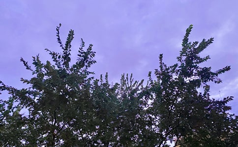 �����������õ��簲����Ȧף����35��