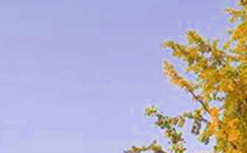 �簲��¼����İ�