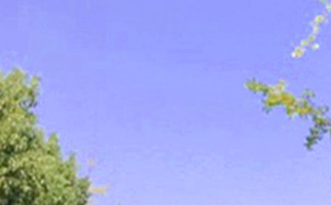 �������õ��簲ף����27��