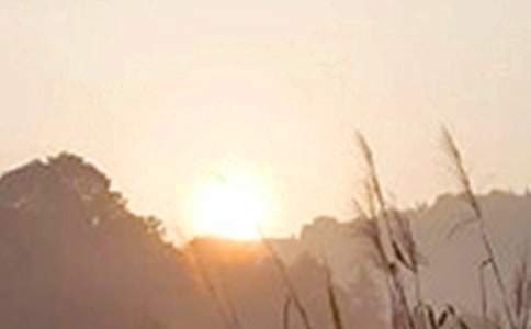 ����Ψ���簲�İ�130��