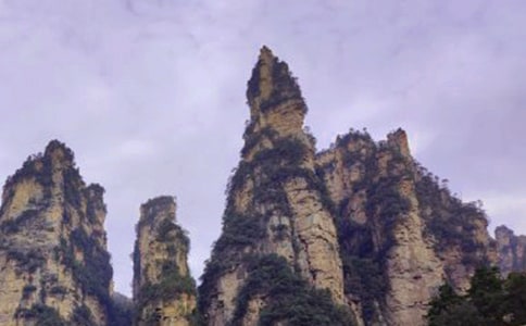 �����ţ����żҽ�����15ƪ