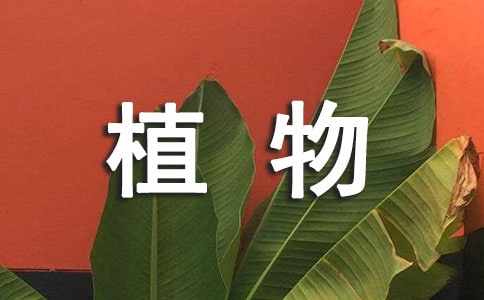 ֲ��۲��ռǣ�ͨ��46ƪ��