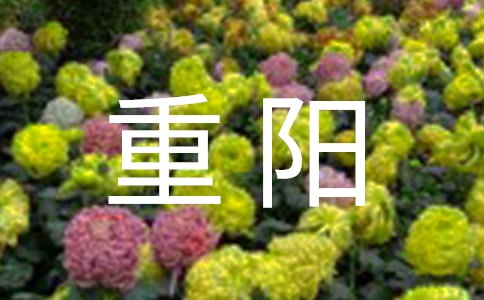 ����ʫ�䣨��ѡ195�䣩
