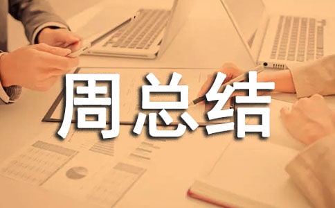 ���簲ȫ�������ܽᱨ��