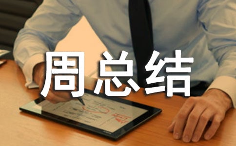 ���簲ȫ�������ܽ᷶��