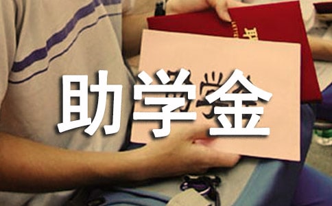 ��ѧ���Բ鱨��