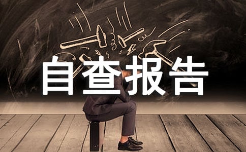 ���˼��޹����Բ鱨��
