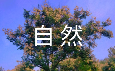 ����Ȼ�������̾侭��310��