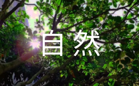 ��д����Ȼ��ʫ��(12ƪ)