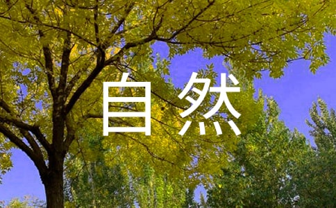����η��Ȼ����˼����