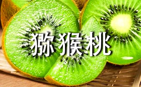 (ʵ��)⨺�������