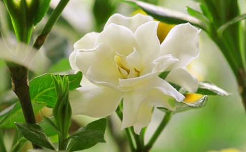 ��д�����������ӻ��������İ�130��