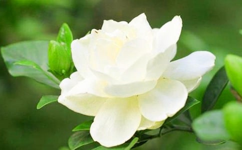 ���ӻ������ľ�Ʒ��13ƪ��