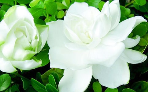 ���ӻ�������5ƪ�����š�