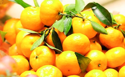 ��ζ���������ģ����13ƪ��