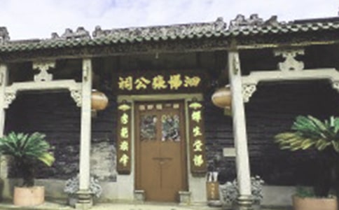 旧祠堂里的老梧桐散文
