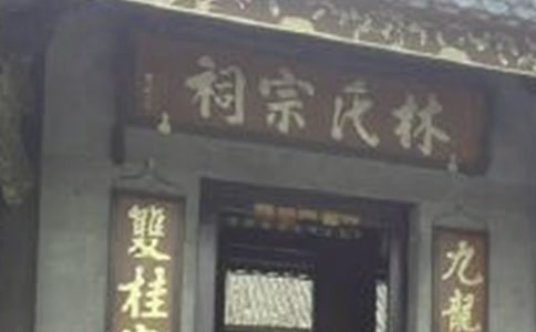 家乡祠堂的记忆作文