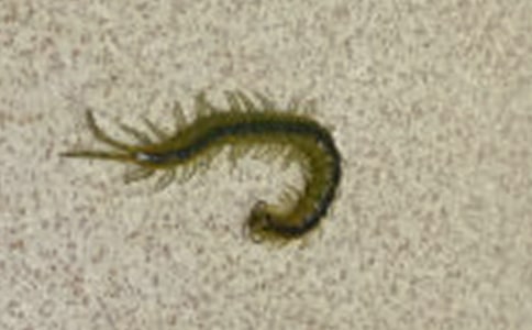 �յ��������������