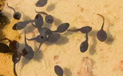 ׽������ġ���ѡ��