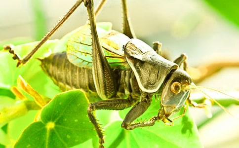 ׽������15ƪ[�Ƽ�]