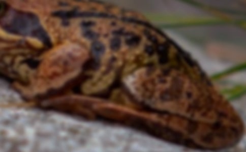 ��ܵ����ģ�ͨ��19ƪ��