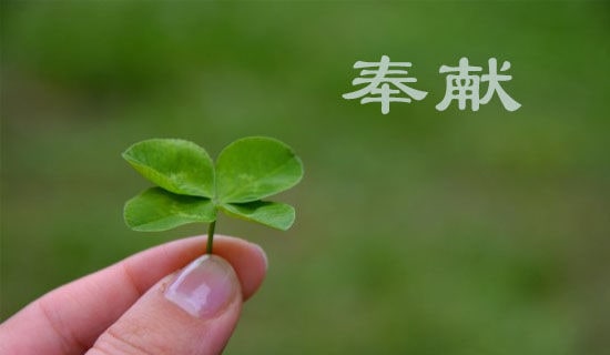 ���ڷ��׵�Ψ���İ�