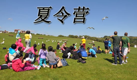 �ҳ�д����������Ӫ�ļ��飨��ѡ14ƪ��